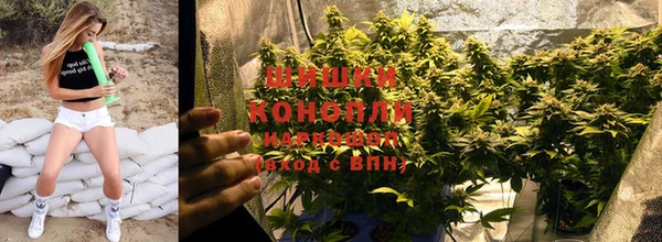 гидра Баксан