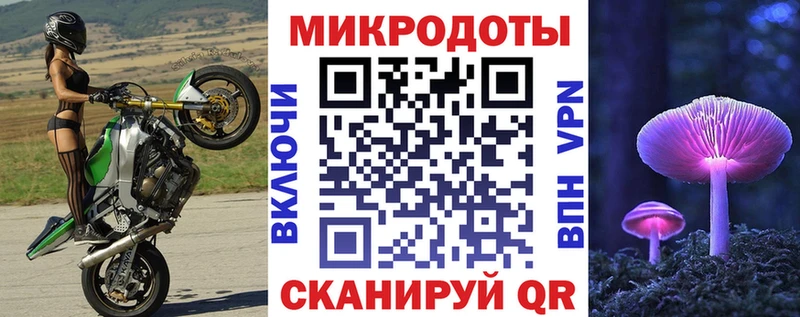 MEGA ONION  Балтийск  Псилоцибиновые грибы мицелий 